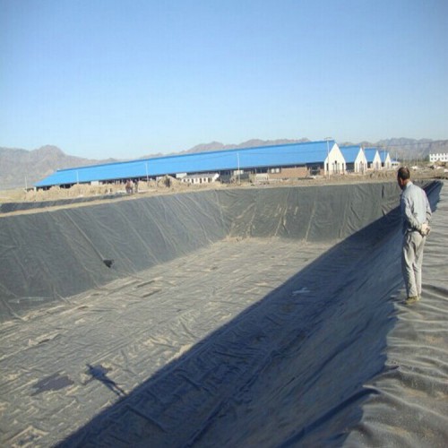 忻州復合土工膜 土工膜施工方案 靠譜的土工膜價格