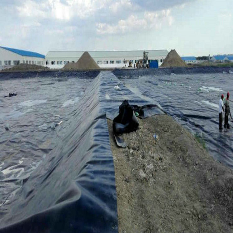 防滲膜新國標可量尺定做