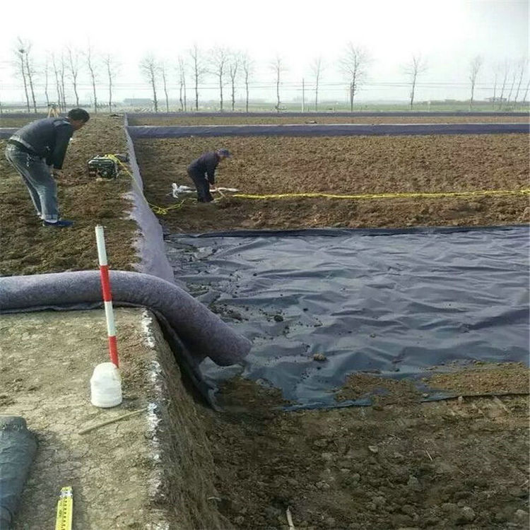 烏蘭察布復(fù)合土工膜廠家 防滲防腐土工膜 防水膜土工防滲膜