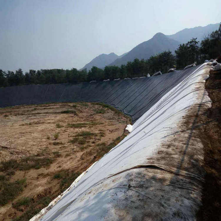 600g長絲復合土工膜 土工防滲膜HDPE土工膜