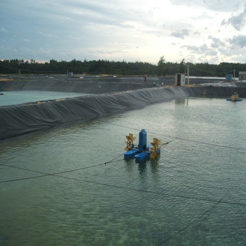 灰壩專(zhuān)用土工膜制造商可量尺定做