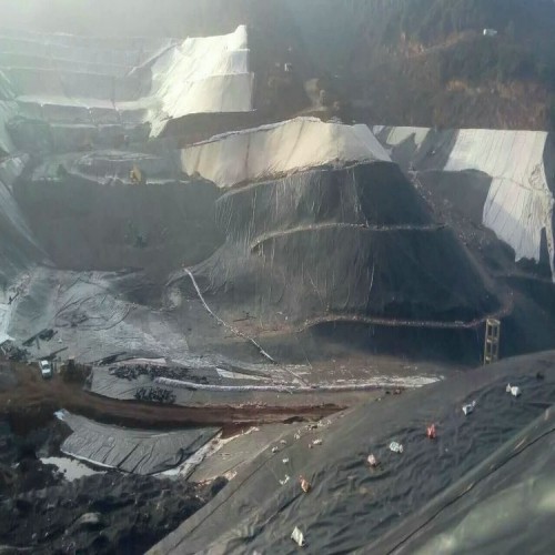 垃圾封場處理黑綠色復合土工膜