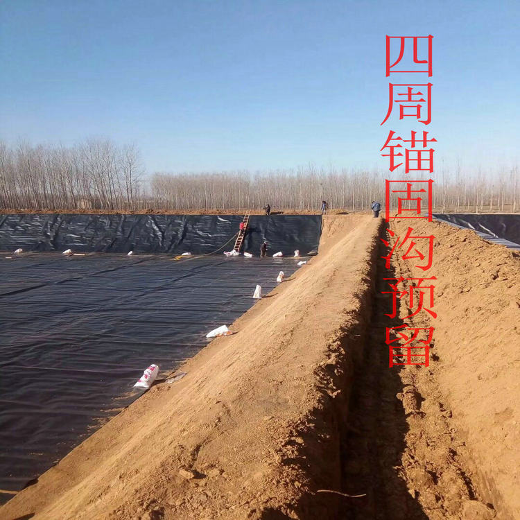 600g長絲復合土工膜 土工防滲膜HDPE土工膜