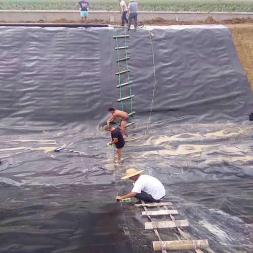 養豬場沼氣池,黑膜沼氣池HDPE土工膜1.5mm