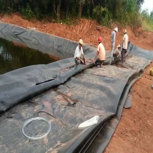 垃圾填埋場HDPE土工膜防滲材料廠家批發價