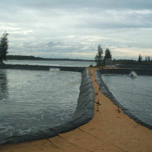 垃圾場(chǎng)專(zhuān)用防滲膜優(yōu)質(zhì)商品