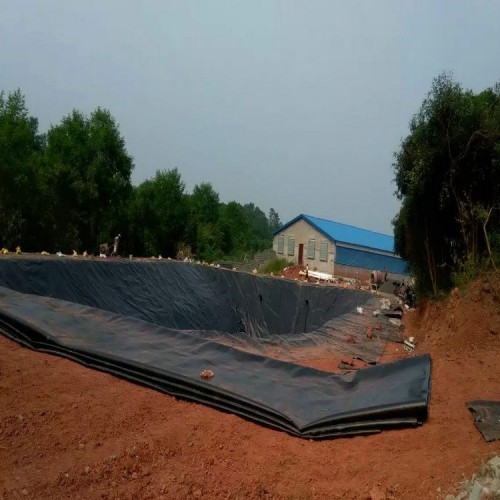 礦渣堆場HDPE防滲膜 1.2mmHDPE防滲膜貨源充足