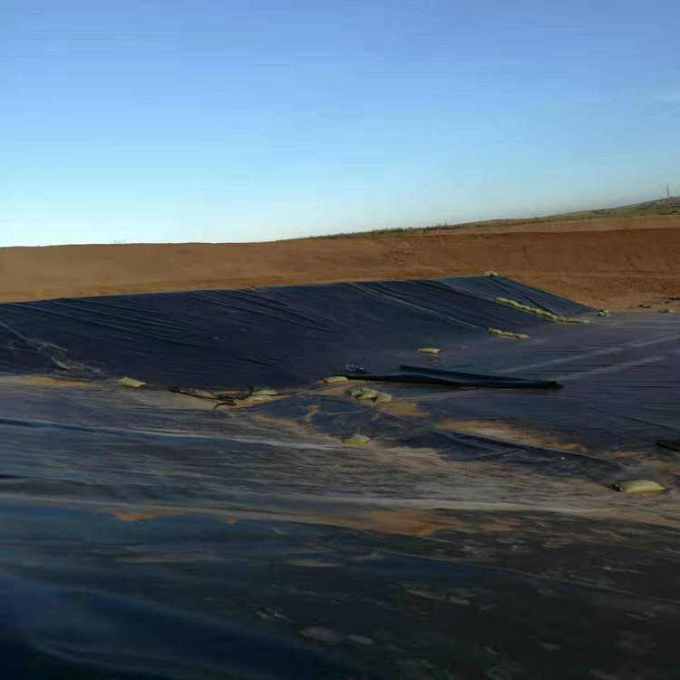 陽(yáng)城1.2mmHDPE防滲膜 養(yǎng)魚池防滲膜產(chǎn)品批發(fā)價(jià)