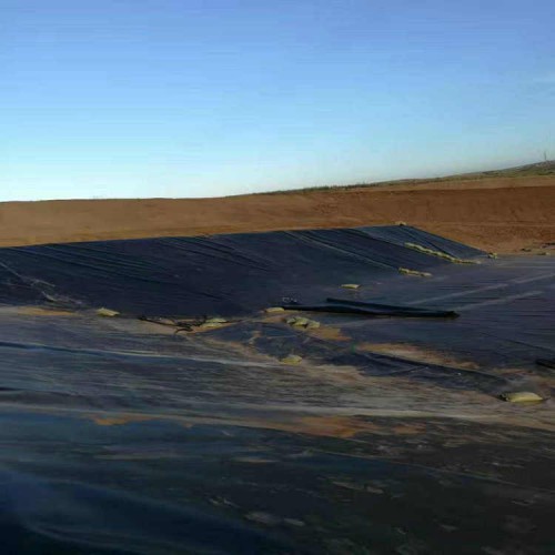 庫倫旗黑綠雙色HDPE防滲膜 防滲防腐土工膜優(yōu)質(zhì)廠家