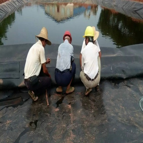 GG80-80土工格柵廠家自產(chǎn)自銷