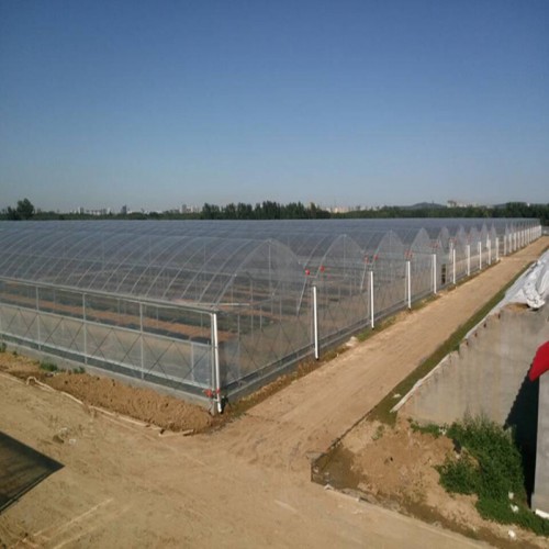 結(jié)實(shí)耐用的薄膜溫室大棚 連棟薄膜溫室建設(shè)步驟 薄膜溫室工程