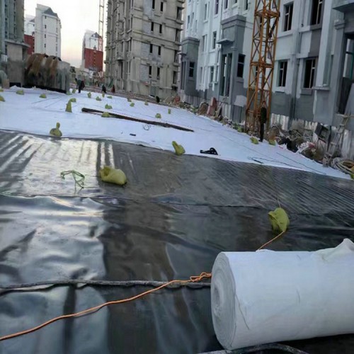 煤化工渣場防滲1mm防滲膜精選廠家