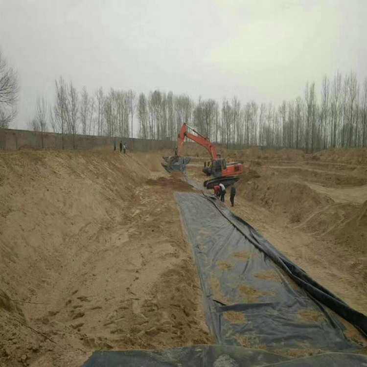 防滲膜黃鱔養殖貨源充足