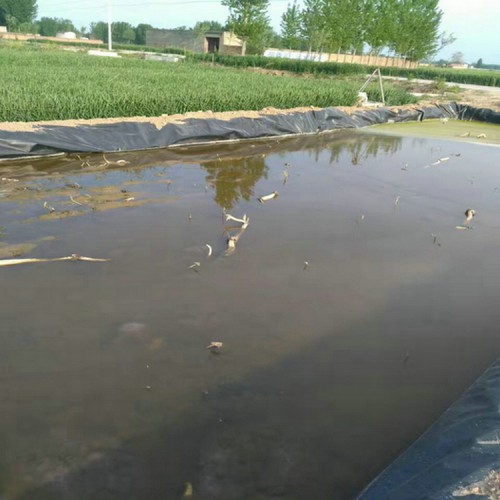 水利渠道HDPE防滲膜 0.15mm防滲膜精選廠家