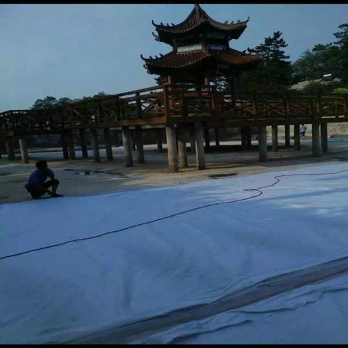 進(jìn)口土工膜 1.2mm防滲膜沼氣池防滲膜