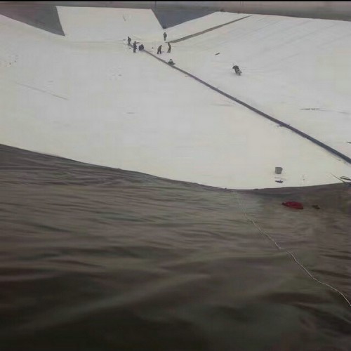 防水土工布土工膜 1.5mm防滲膜廠家批發(fā)價(jià)