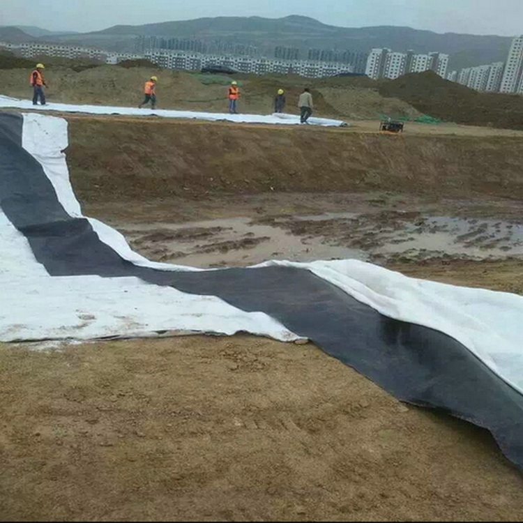尾礦底襯HDPE土工膜 1.8mmHDPE土工膜性能穩定