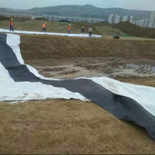 復合土工膜生產 400g長絲土工布尾礦壩渣場防滲膜