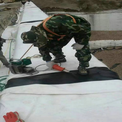 惠州養(yǎng)豬場(chǎng)厭氧塘0.5mm土工膜 0.8mm土工膜精選廠家