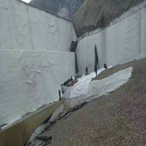滑縣養魚池防滲膜 防滲防腐土工膜優質商品