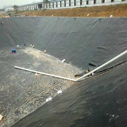 垃圾填埋場hdpe膜HDPE土工膜可量尺定做