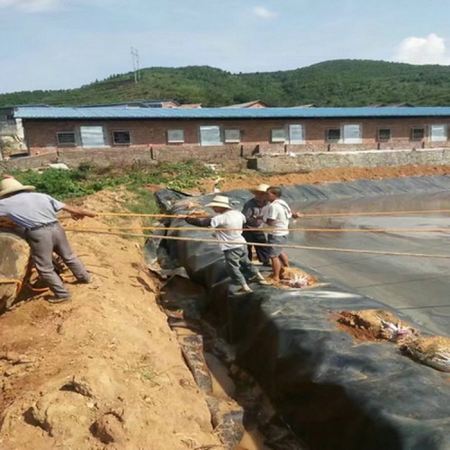 泰安養殖藕池防滲膜生產廠家提供靠譜的土工膜價格