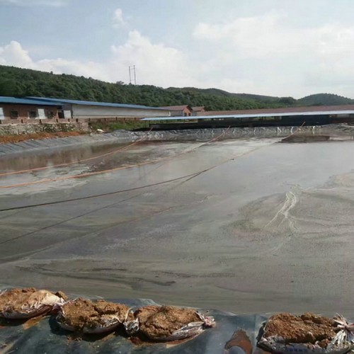 建筑防滲用1.5mmHDPE防滲膜防潮 0.5mm土工膜產(chǎn)品批發(fā)價