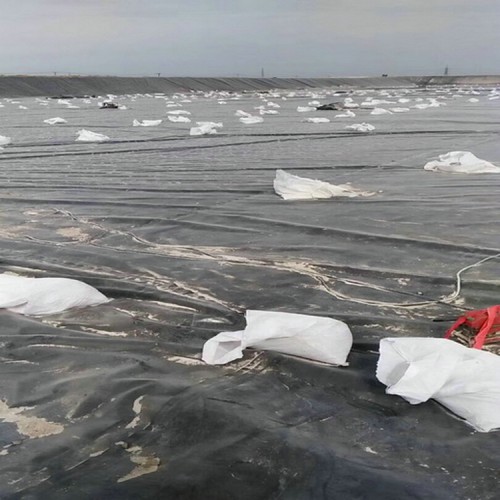 1.5mm豬場氧化塘土工膜優質商品