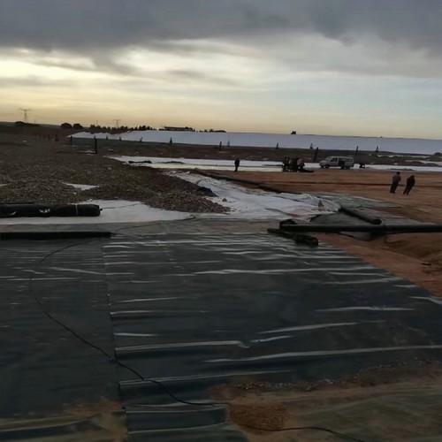 耐酸堿單毛面HDPE土工膜 1.9mm土工膜廠家批發