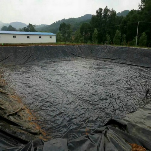 蓄水池防滲用1.0mm土工膜性能穩定