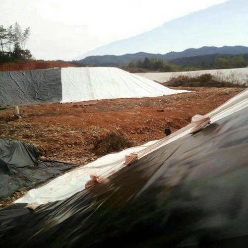 巢湖復(fù)合土工膜廠家 屋頂防滲膜 渠道防滲兩布一膜