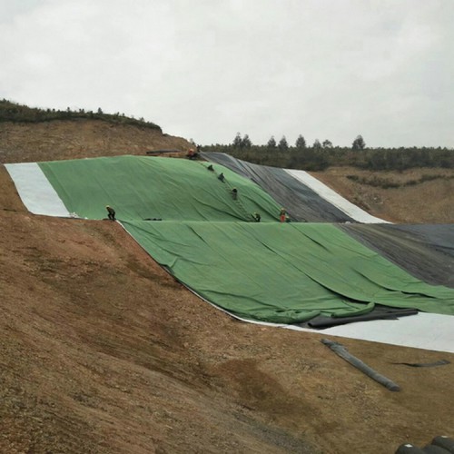 電廠原水調節池用1.5mmHDPE防滲膜廠家批發