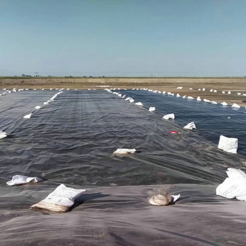 復合土工膜抽樣頻率 復合土工膜批發 化糞池防滲膜