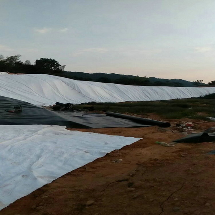 聚復合土工膜作用 0.20mmHDPE土工膜精選廠家