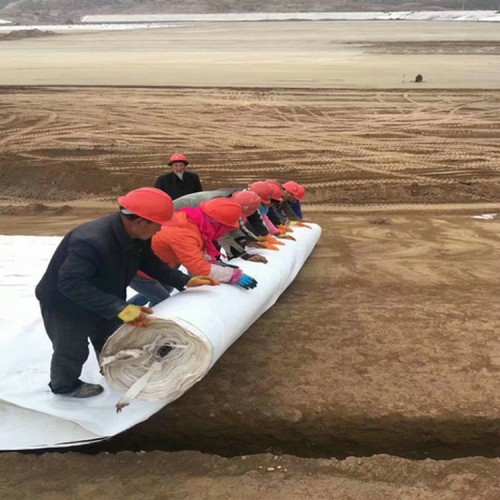 灰場防滲膜鋪設源頭生產(chǎn)廠