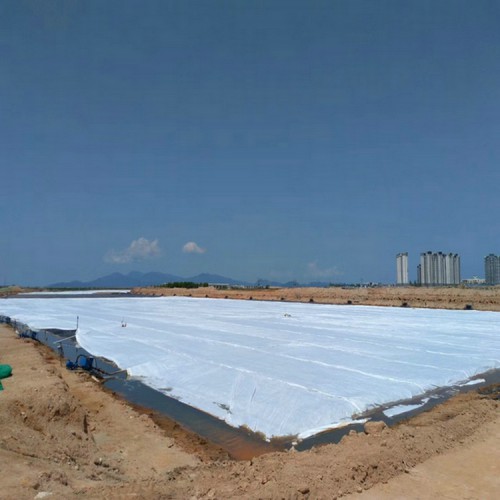 赤泥堆場庫區防滲層專用HDPE土工膜 0.6mmHDPE土工膜商品批發價
