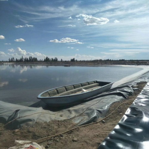 寧夏土工膜 LDPE防滲土工膜垃圾場土工膜