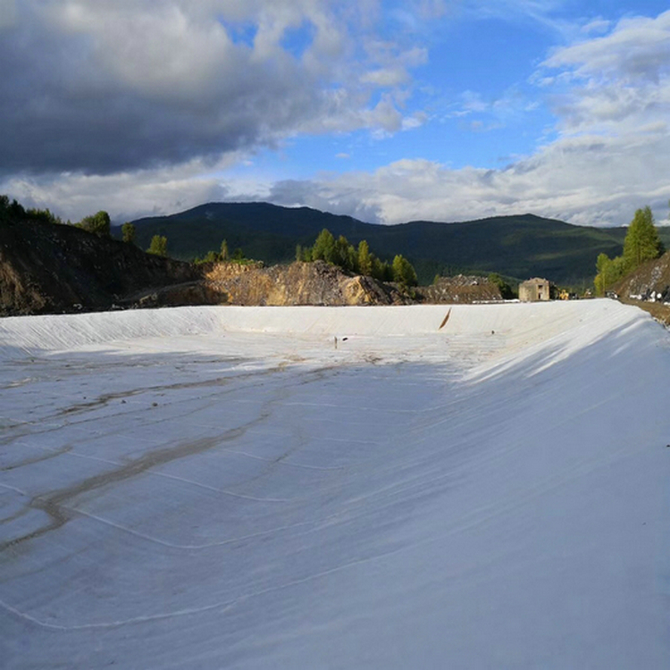 安慶耐腐蝕鈉基膨潤(rùn)土防水毯 防滲膜焊接機(jī) 固廢垃圾場(chǎng)防滲土工膜