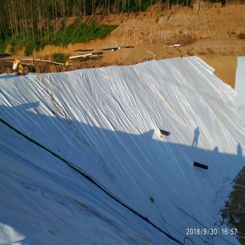 冶煉工業廢渣防滲1mm土工膜精選廠家