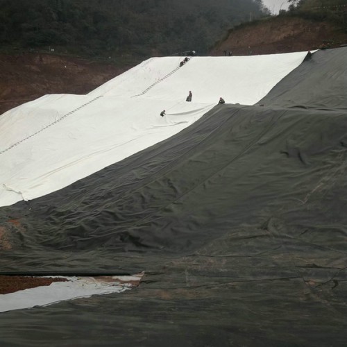 大慶養殖場氧化塘糙面HDPE土工膜 0.6mmHDPE防滲膜生產廠家