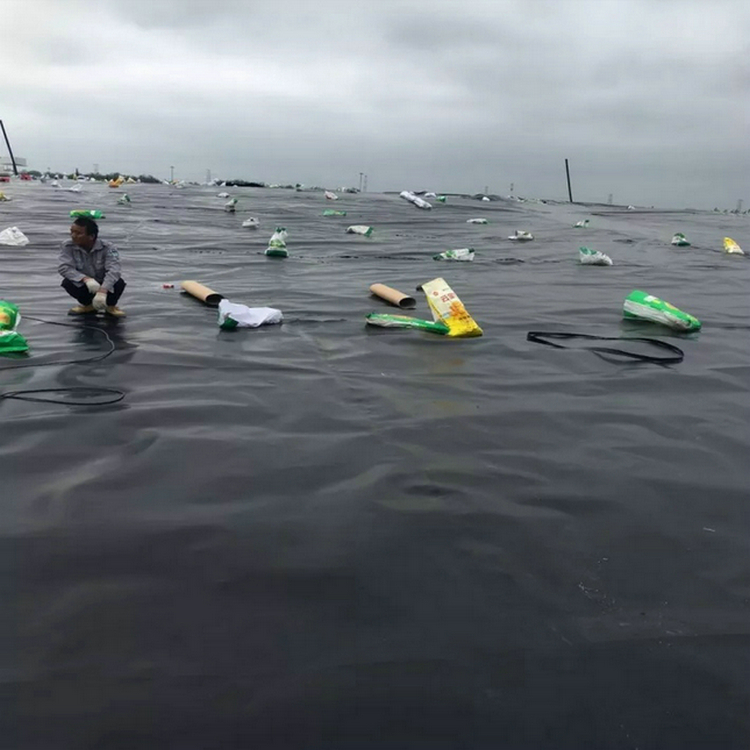 水池防水用1.5mm土工膜 0.9mmHDPE防滲膜廠家批發(fā)價