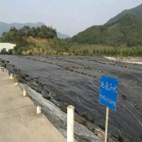 hdpe復(fù)合土工膜 土工膜價格沼氣池防滲膜