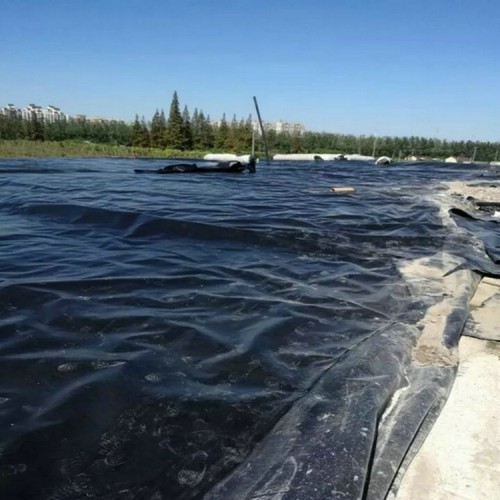生活污水池防滲用1.2mmHDPE防滲膜 0.5mmHDPE土工膜產品批發價
