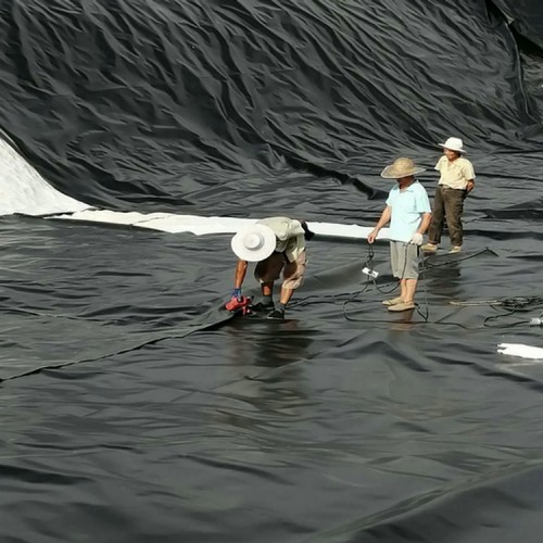 定西煉油廠土工膜 膨潤土防水毯廠家廠家批發(fā)價