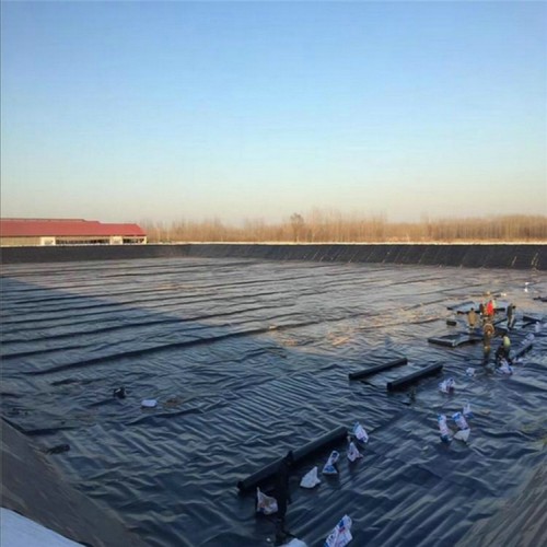 樓頂防滲膜源頭生產廠