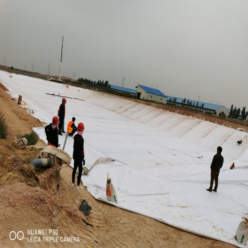 防滲膜打壓 0.40mm土工膜性能穩定