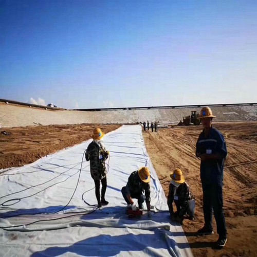 湟中養(yǎng)豬場1.0mm沼液池土工膜 膨潤土防水毯優(yōu)質(zhì)商品