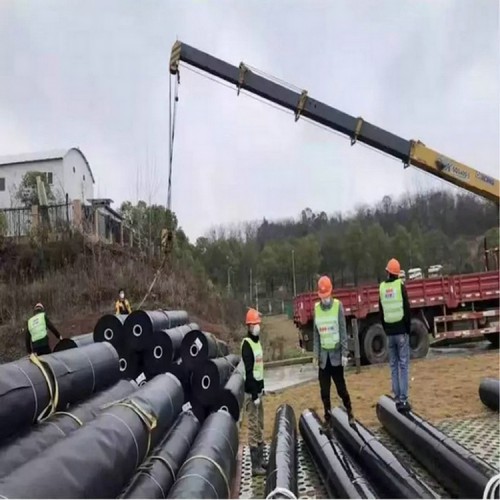 鋅冶煉廠防滲1mm土工膜生產(chǎn)廠家