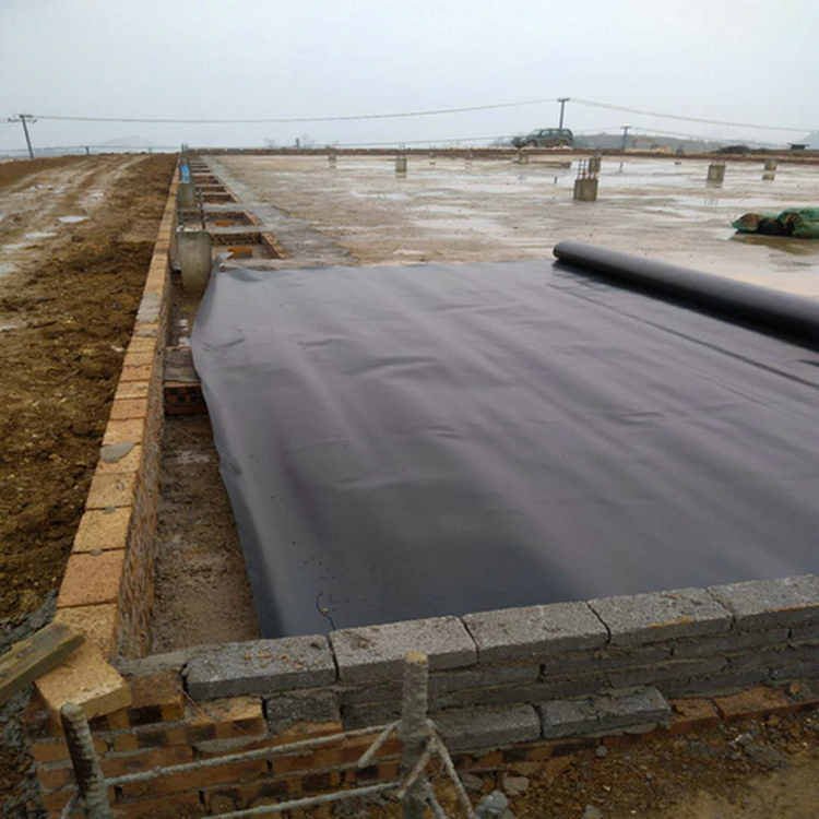 贛州雙糙面HDPE土工膜國家標準 1.1mm土工膜經久耐用