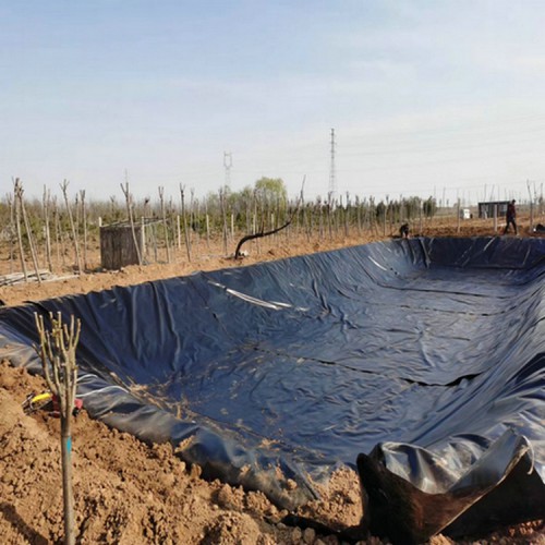 耐酸堿土工膜可量尺定做